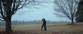Tumbledown still 7