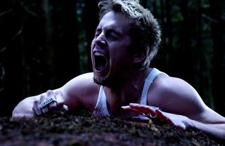 Shrooms still 5