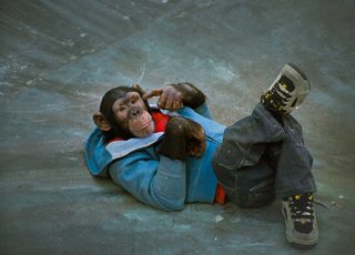 MVP: Most Vertical Primate still 3