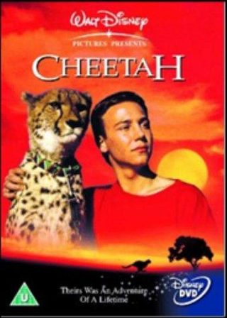 Cheetah still 7