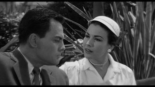 Tarantula still 7