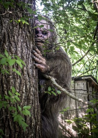 Something in the Woods still 7