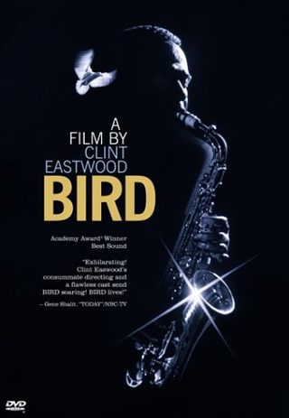 Bird still 8
