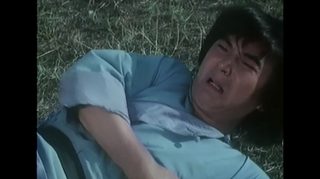Crippled Kung Fu Boxer still 7