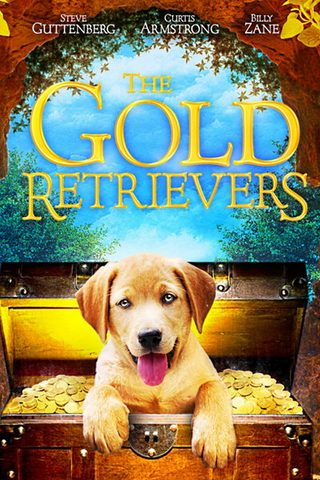 The Gold Retrievers still 7