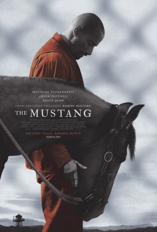 The Mustang still 6