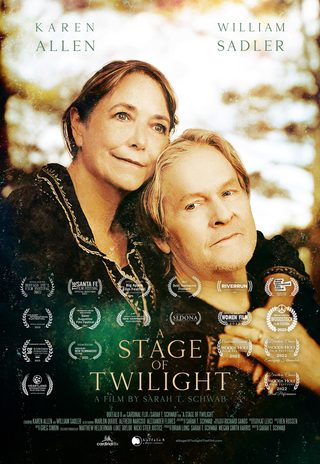 A Stage of Twilight still 4