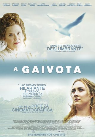 The Seagull still 8