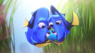 Finding Dory still 1