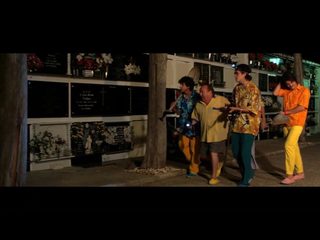 Re-emigrantes still 8