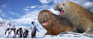 Happy Feet still 3
