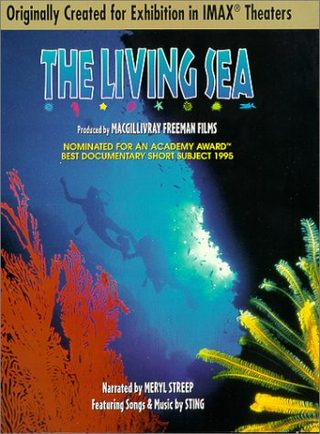 The Living Sea still 4