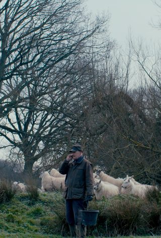 The Old Man and The Land still 7