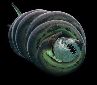 Titanoboa: Monster Snake still 3