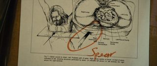 The Case for Christ still 8