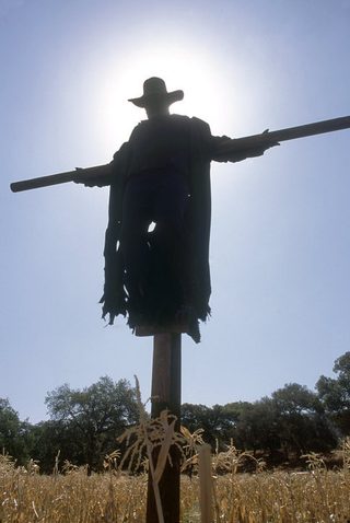 Jeepers Creepers II still 8