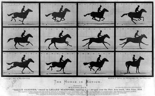 Sallie Gardner at a Gallop still 3