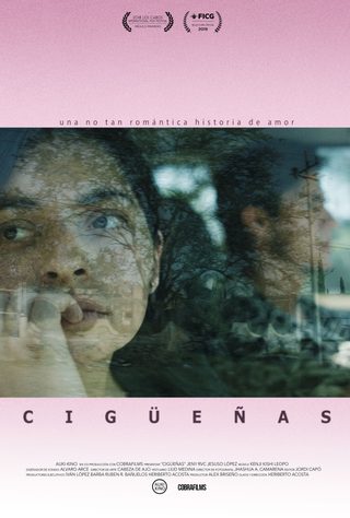 Cigüeñas still 5