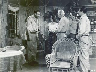 The White Gorilla still 6