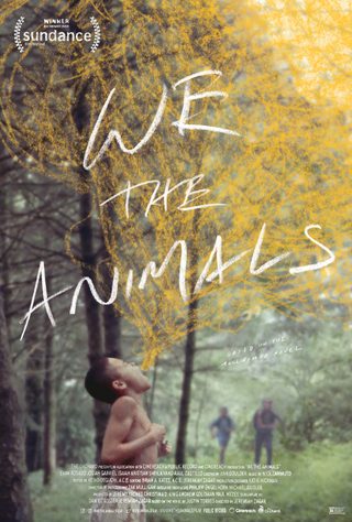 We the Animals still 5