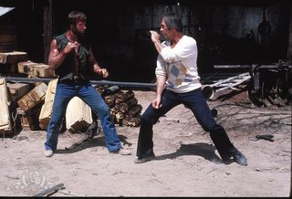 Lone Wolf McQuade still 8