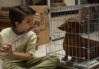 Wiener-Dog still 1