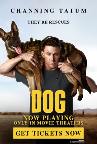 Dog still 2