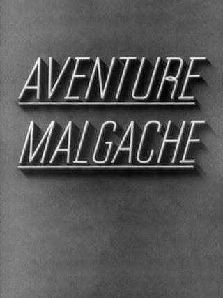 Madagascar Landing still 8