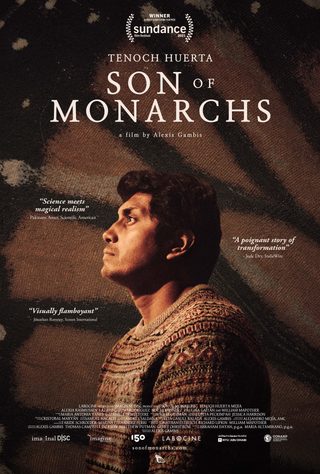 Son of Monarchs still 4