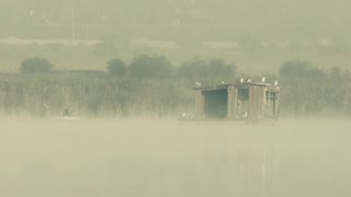 Moth still 7