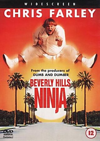 Beverly Hills Ninja still 8