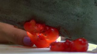 Dumplings still 5