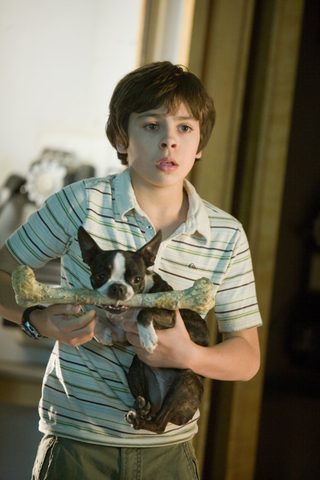 Hotel for Dogs still 8