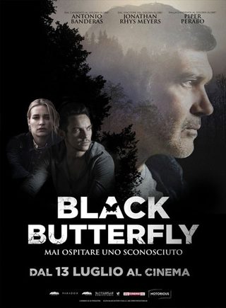 Black Butterfly still 8