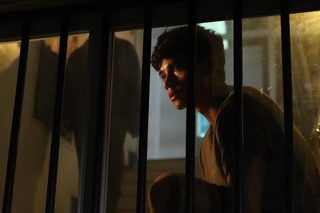 Balota still 3