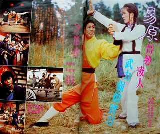 Tai Chi Shadow Boxing still 2