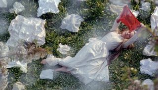 Wild Flowers still 5