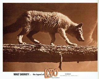 The Legend of Lobo still 7
