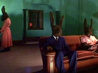 Rabbits still 1