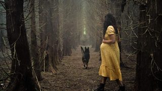 Unwelcome still 4