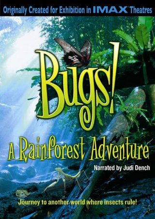 Bugs still 1