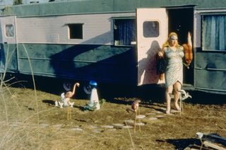 Pink Flamingos still 4