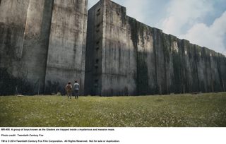 The Maze Runner still 4