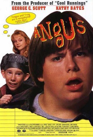 Angus still 7