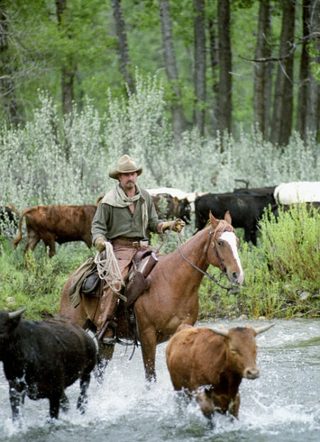 Open Range still 8