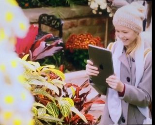 Anesthesia still 6