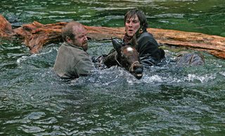 The Colt still 6