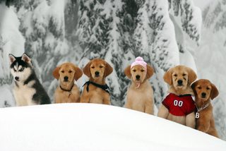Snow Buddies still 1