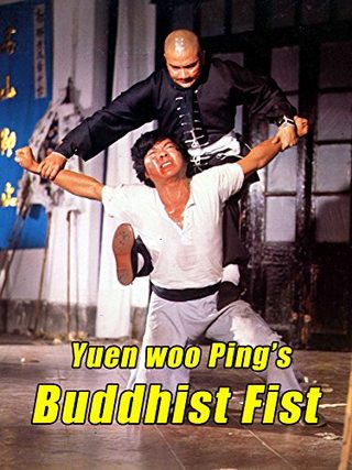 The Buddhist Fist still 1