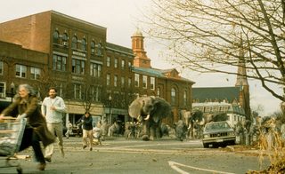 Jumanji still 4